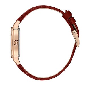 Женские часы Daniel Klein DK13599-5