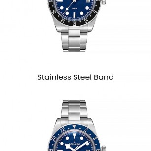 Мужские наручные часы Tornado T24006-C1