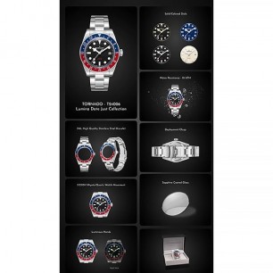 Мужские наручные часы Tornado T24006-C1