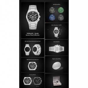 Мужские наручные часы Tornado T24105-TBSB