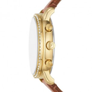 Наручные часы Fossil Neutra ES5278