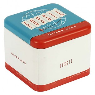 Наручные часы Fossil Fossil Blue FS6032