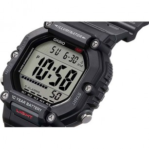 Мужские наручные часы Casio AE-1600H-1A