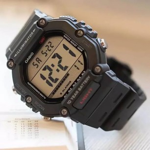 Мужские наручные часы Casio AE-1600H-1A