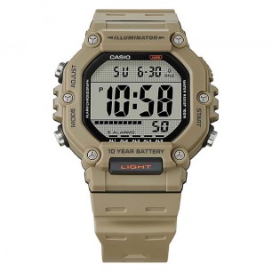 Мужские наручные часы Casio Collection AE-1600H-5A