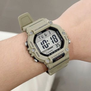 Мужские наручные часы Casio Collection AE-1600H-5A