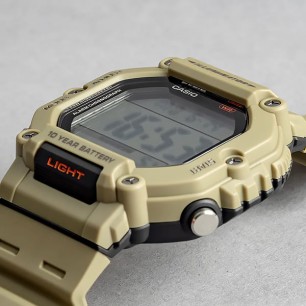 Мужские наручные часы Casio Collection AE-1600H-5A