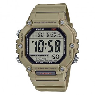 Мужские наручные часы Casio Collection AE-1600H-5A