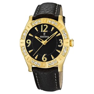 Часы Festina  Golden Dream F16580-4